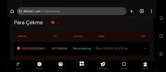 Screenshot_20251018-024310.jpg